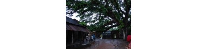 சீதாகுண்ட் - பங்காளதேஷ்